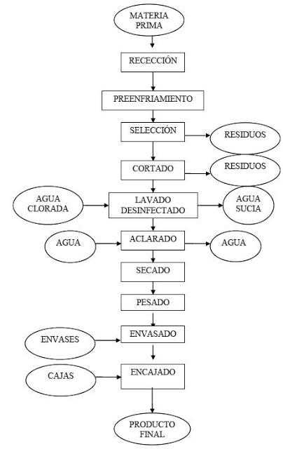 Cómo se hacen... los productos de IV Gama