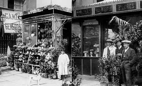 Un paraiso en el corazón de Madrid