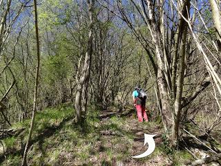 Cao-Vega la Guarda-La Carrera