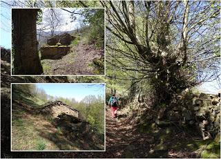 Cao-Vega la Guarda-La Carrera