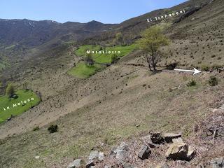 Cao-Vega la Guarda-La Carrera