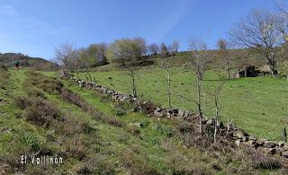 Cao-Vega la Guarda-La Carrera