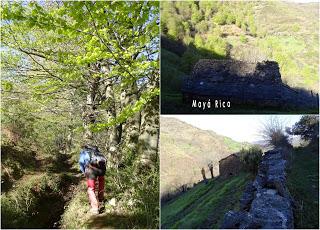 Cao-Vega la Guarda-La Carrera