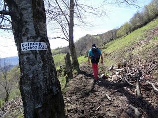 Cao-Vega la Guarda-La Carrera