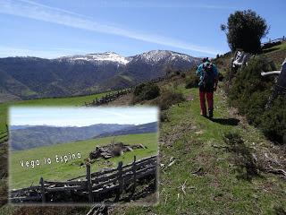 Cao-Vega la Guarda-La Carrera