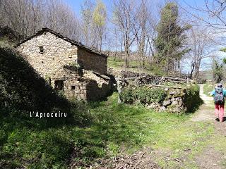Cao-Vega la Guarda-La Carrera