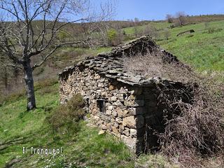 Cao-Vega la Guarda-La Carrera