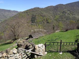 Cao-Vega la Guarda-La Carrera