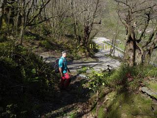 Cao-Vega la Guarda-La Carrera