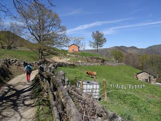 Cao-Vega la Guarda-La Carrera