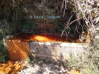 Cao-Vega la Guarda-La Carrera