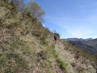 Cao-Vega la Guarda-La Carrera
