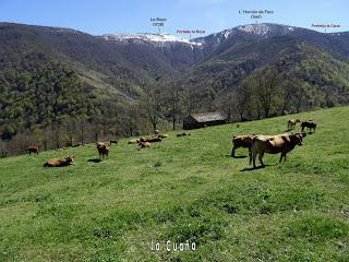 Cao-Vega la Guarda-La Carrera