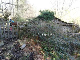 Cao-Vega la Guarda-La Carrera