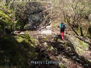 Cao-Vega la Guarda-La Carrera