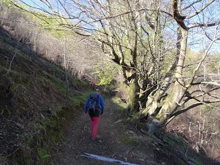 Cao-Vega la Guarda-La Carrera