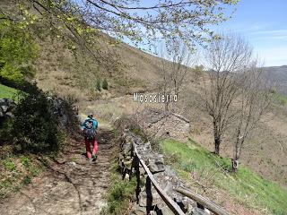 Cao-Vega la Guarda-La Carrera