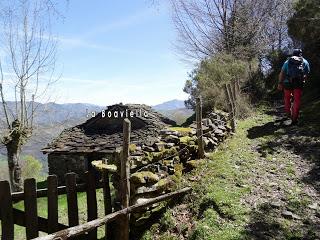 Cao-Vega la Guarda-La Carrera