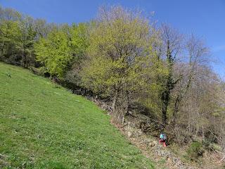 Cao-Vega la Guarda-La Carrera