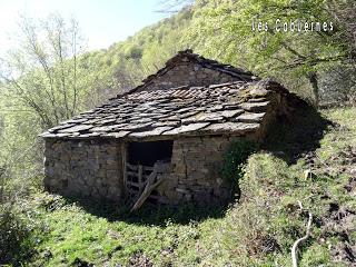 Cao-Vega la Guarda-La Carrera