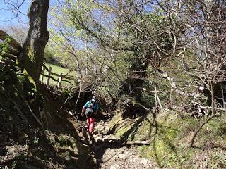 Cao-Vega la Guarda-La Carrera