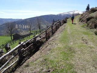 Cao-Vega la Guarda-La Carrera