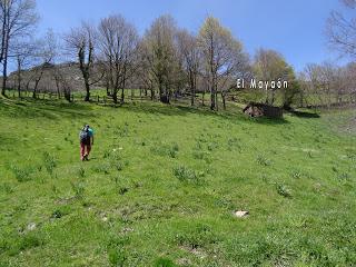 Cao-Vega la Guarda-La Carrera