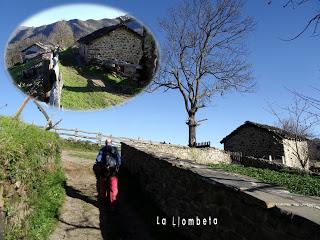 Cao-Vega la Guarda-La Carrera