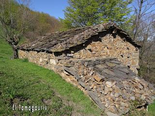 Cao-Vega la Guarda-La Carrera