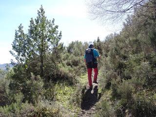 Cao-Vega la Guarda-La Carrera
