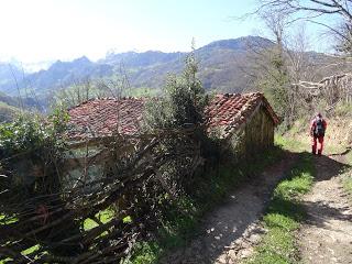 Los Pontones-Vega'l Pando-Vega Viescas-Cuayos-La Foz la Caviyera