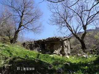 Los Pontones-Vega'l Pando-Vega Viescas-Cuayos-La Foz la Caviyera