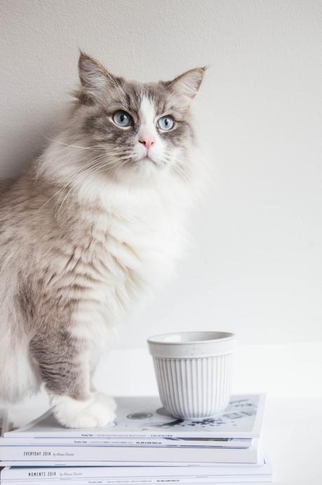 antes-y-despues-dormitorio-cambio-de-look-estilo-nordico-reforma