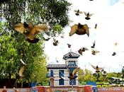 Talavera. Jardines Prado decorado azulejos cerámica talaverana