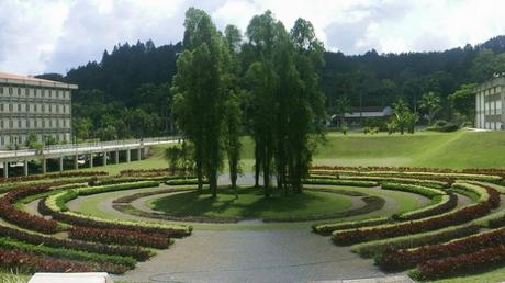 Merodeando desde la Arquitectura