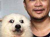 mirada este perro provoca batalla memes