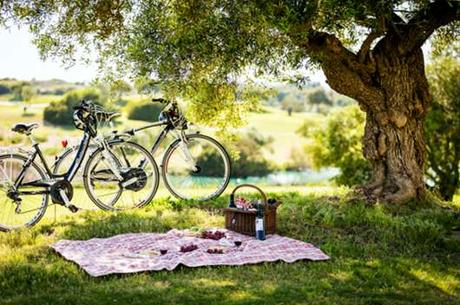 Hay otra manera de vivir y respirar el aire fresco, el glamping.