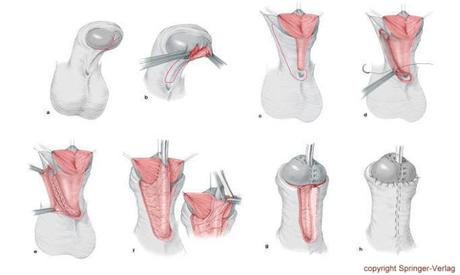 Seguir una dieta basada en alimentos ecológicos supone cuidar tu salud