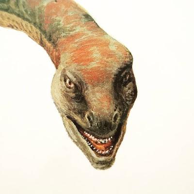 Variadito Especial Dinosaurios Raritos II
