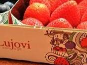 Salmorejo Fresas. Centenario Muerte Miguel Cervantes