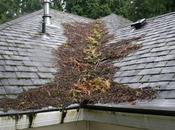 techo dañado peligroso.