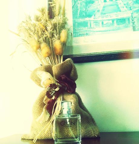 Esencia de Gijón- Ambientador Esencia de Gijón- Ambientador