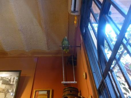 CARRER DE PÀDUA, UNA MARAVELLA; A LA BARCELONA D' ABANS, D' AVUI I DE SEMPRE...11-05-2016...!!!