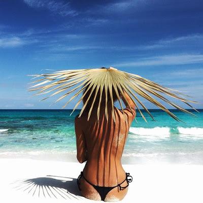 Cera Brasileña. Todo lo que aprendi