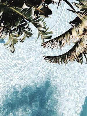 Cera Brasileña. Todo lo que aprendi