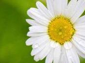 Remedios naturales para picor cuerpo