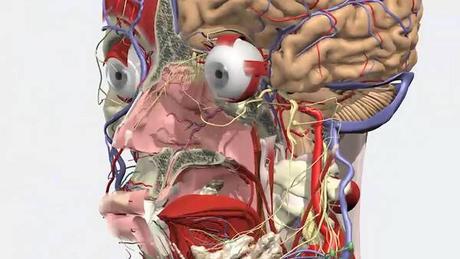 Newsletter SADAM - Abril 2016