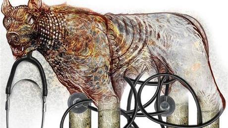 Newsletter SADAM - Abril 2016