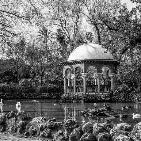 SEVILLA en BLANCO y NEGRO: PARQUE Mª LUISA y PLAZA DE ESPAÑA. PARTE I