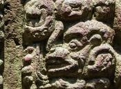 Bosque piedra. Copán. Honduras